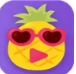 菠萝蜜视频app在线精品版