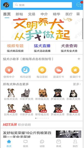 猛犬俱乐部安卓版