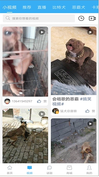 猛犬俱乐部安卓版