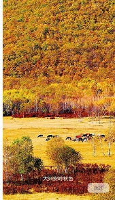 国家风景客户端