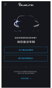 blueLink客户端