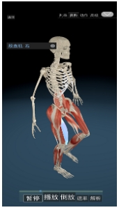 3D动态解剖免费版